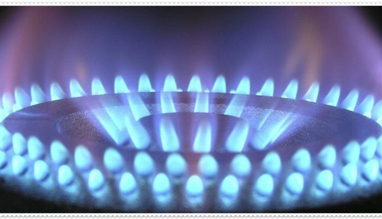 Bursa Doğalgaz Proje Sorgulama