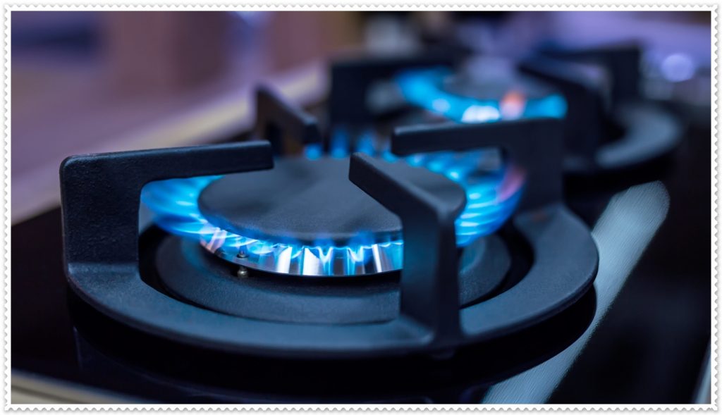 Bursa Doğalgaz Proje Sorgulama